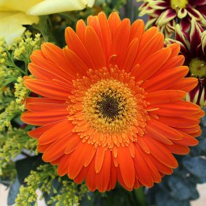Product Photography for Catalogs