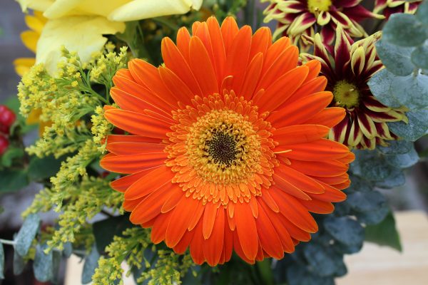 Product Photography for Catalogs
